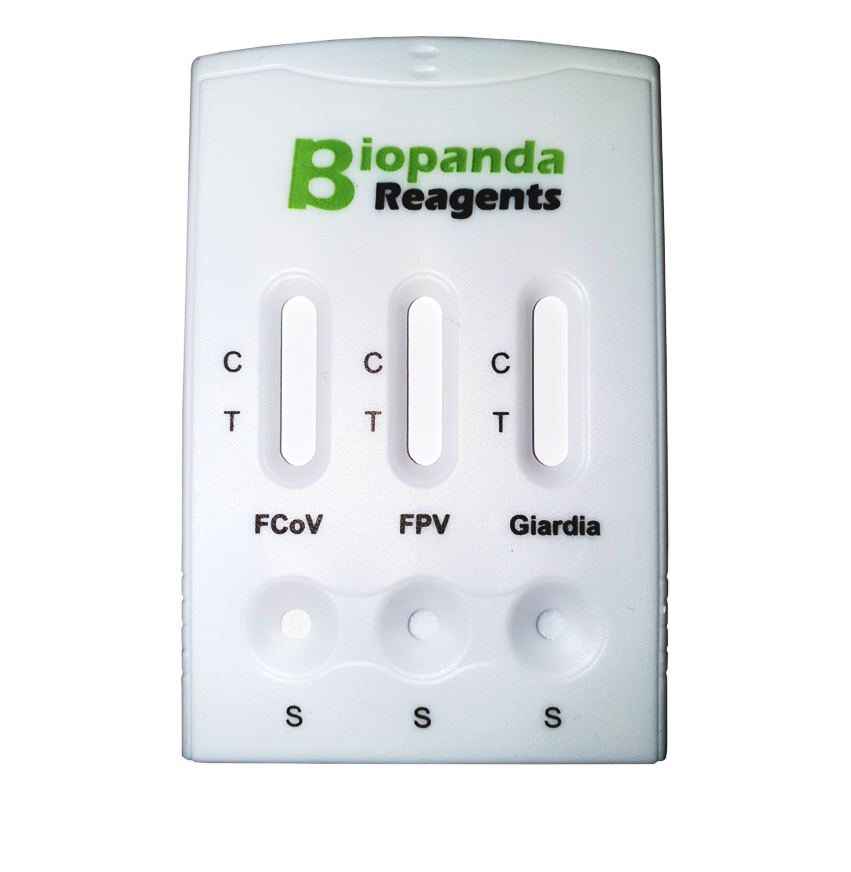 FPV -FCoV -Giardia
