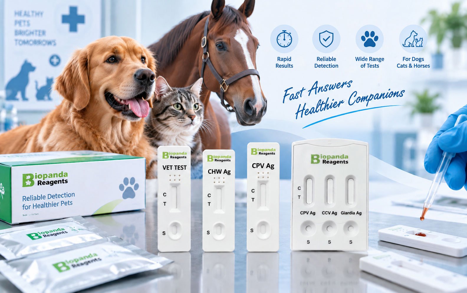 Rapid Test Kits