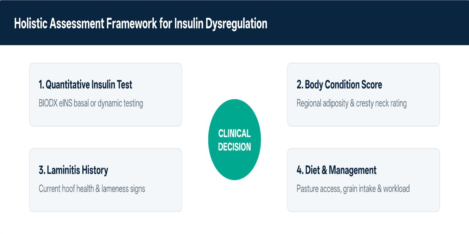 insulin dysregulation horse