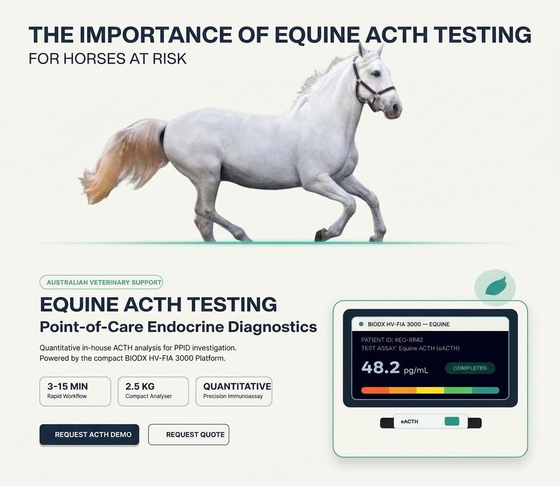 Equine ACTH
