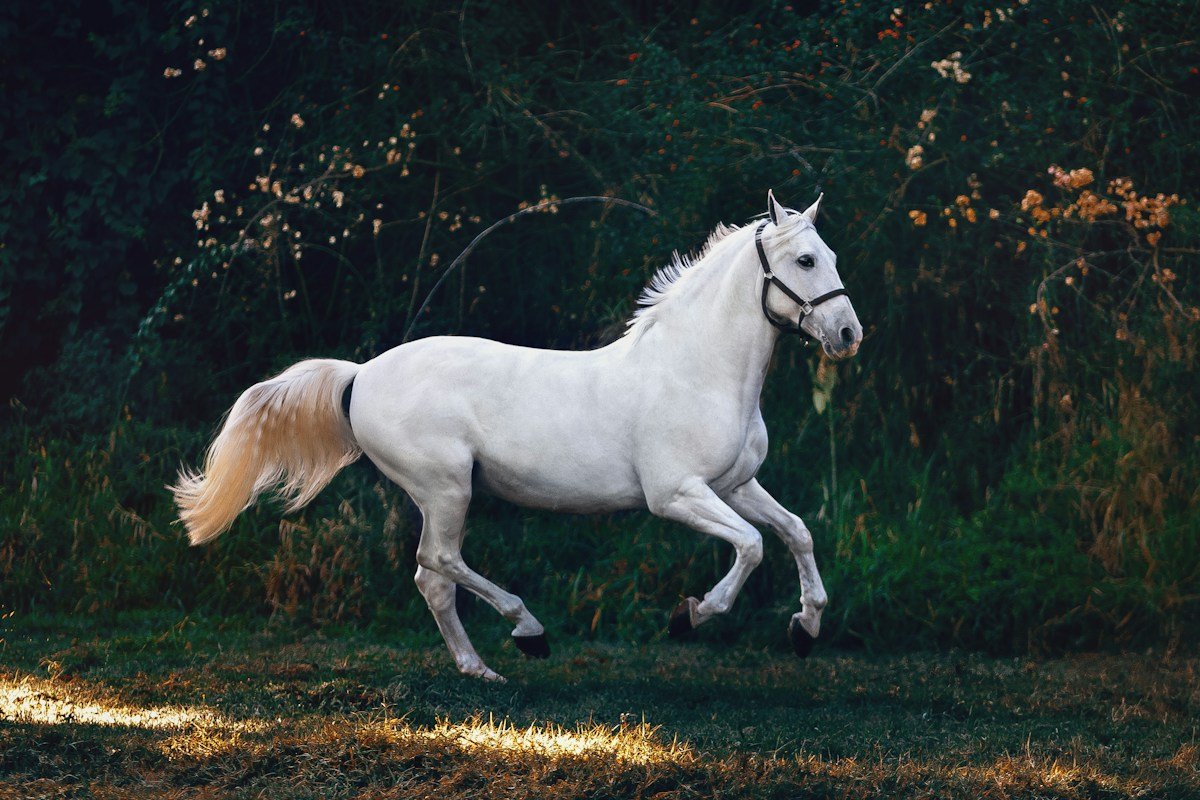 Understanding Equine Metabolic Syndrome: A Diagnostic Guide