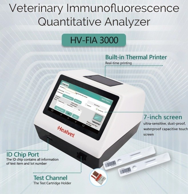 WhatsApp Image 2025-11-09 at 3.19.22 PM