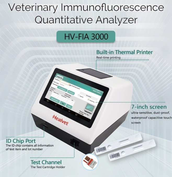 WhatsApp Image 2023-07-17 at 16.41.28